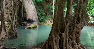 Thailand National park