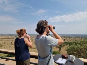 people looking out at view