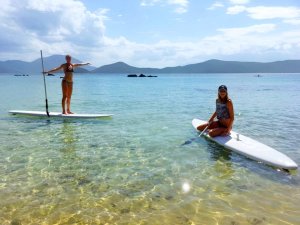 Girls on paddleboards in Whale Island