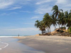beach and palm trees in Sri Lanka