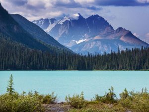 Bow lake