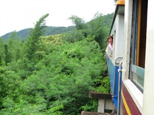 Train ride through forest River Kwai Thailand