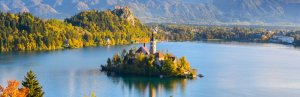 Tiny Island