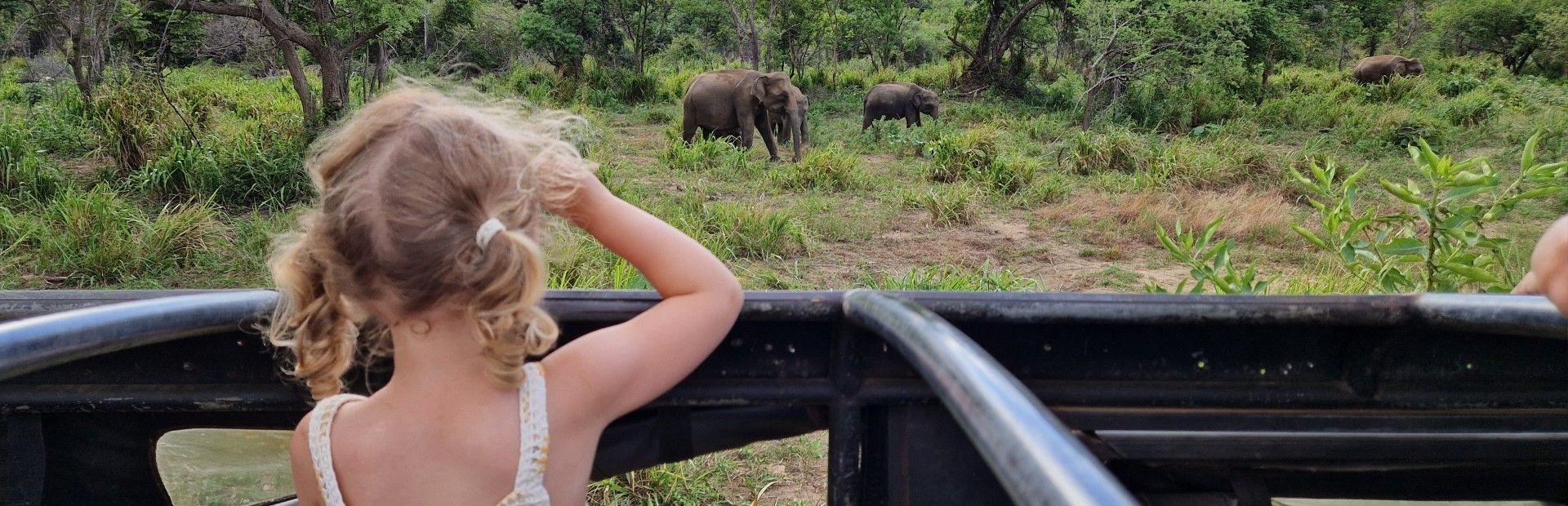 The best national parks to visit in Sri Lanka for am family safari ...