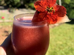 Watermelon juice Sri Lanka