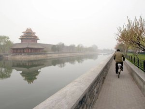 Person riding bicycle next to water and temple