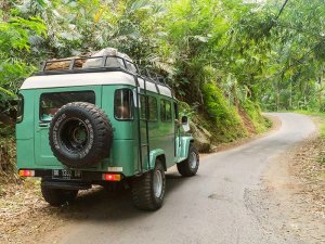 Jeep going through the jungle