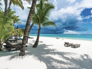 White sand beach with palm trees, lounge chairs, turquoise ocean, and a dramatic cloudy sky in South Africa