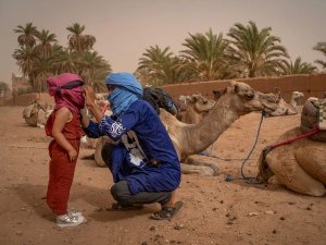 Local man dressed in blue helping child with face covering next to camels