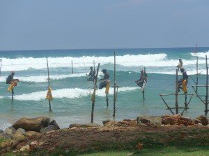 Sri Lanka Marissa fishermen