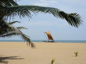 Traditional Sri Lankan boat on beach