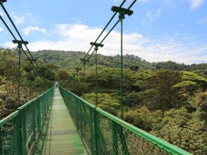 Monteverde cloud forest suspension bridge