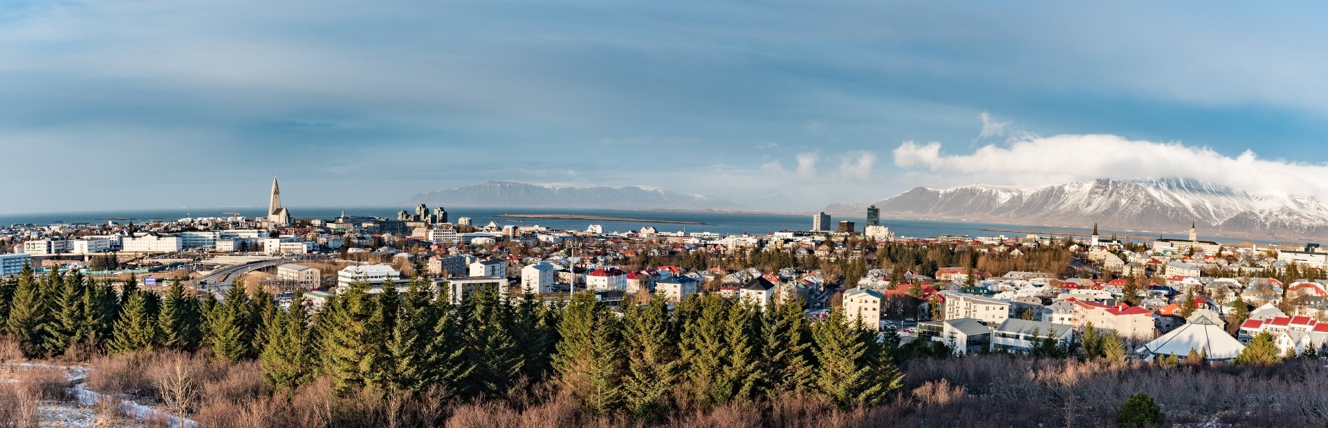 Panoramic view of Reykjavik, with the city, a bay, snow-capped mountains, and evergreen trees under a blue, partly cloudy sky in Iceland.