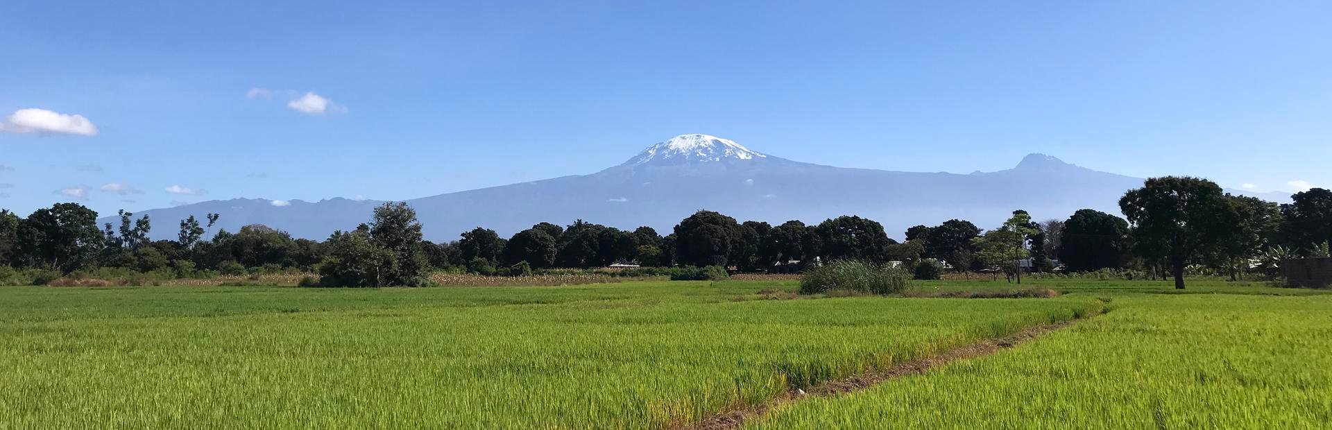Kilimanjaro landscape