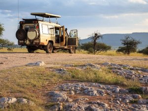 Tanzania safari