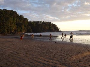 Pacific coast Costa Rica Dolphin wildlife spotting