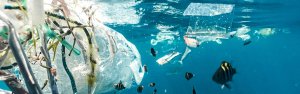 Plastic ocean zero waste