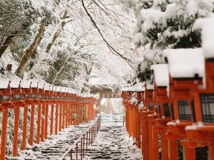 Snowy landscape in Japan