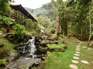 Jungle lodge in San Gerado de Dota