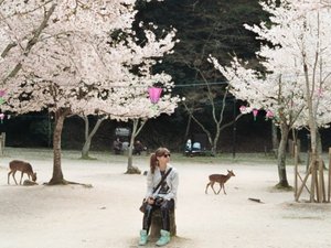 Woman among blooming trees