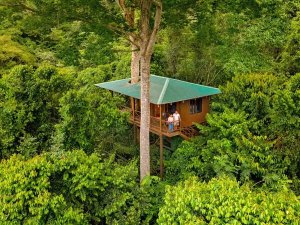 Treehouse in Boca Tapada
