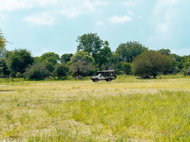Jeep safari in Nyerere National Park