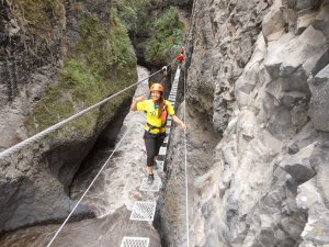 Ecuador activity tour people crossing the canopy bridge