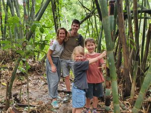 Khao Sok jungle