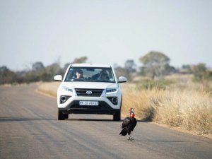 Rijden in Zuid-Afrika