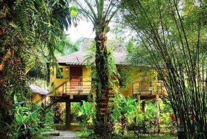 Yellow bungalow standing amongst trees