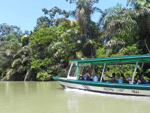 Tortuguero boat on river