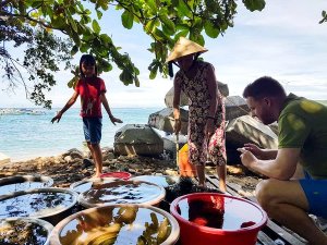 Cooking class on the beach