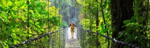 Man on a bridge