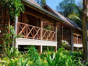 Jungle lodge