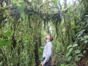 Ecuador cloud forest tourist
