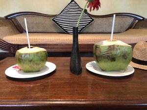 Coconut drinks