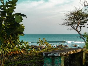 Pedasi beach through trees