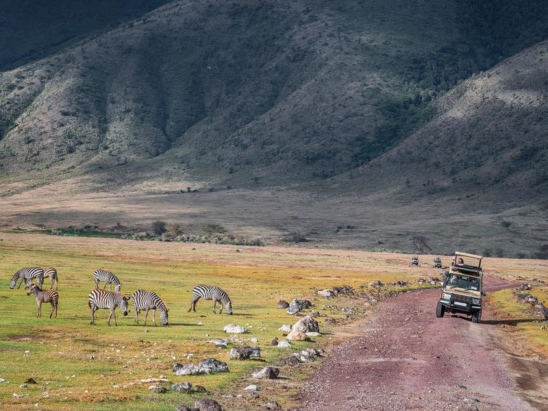 Ngorongoro Crater jeep safari driving through