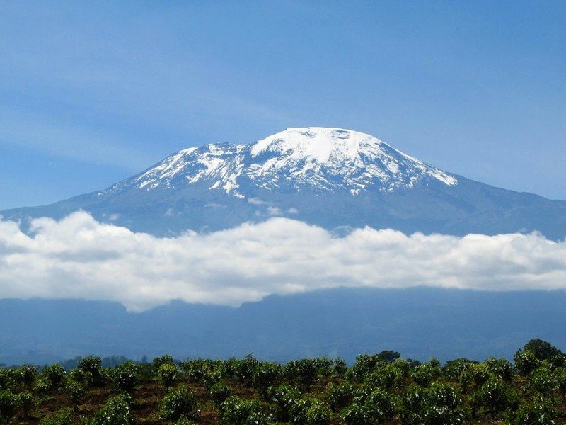 Summit of Kilimanjaro in the clouds