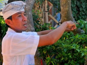 Local chef Indonesia Bali