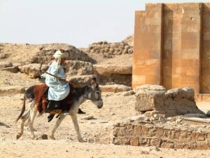 man on donkey 