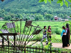 Women walking through green fields Vietnam