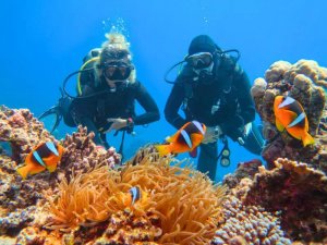 couple scuba diving