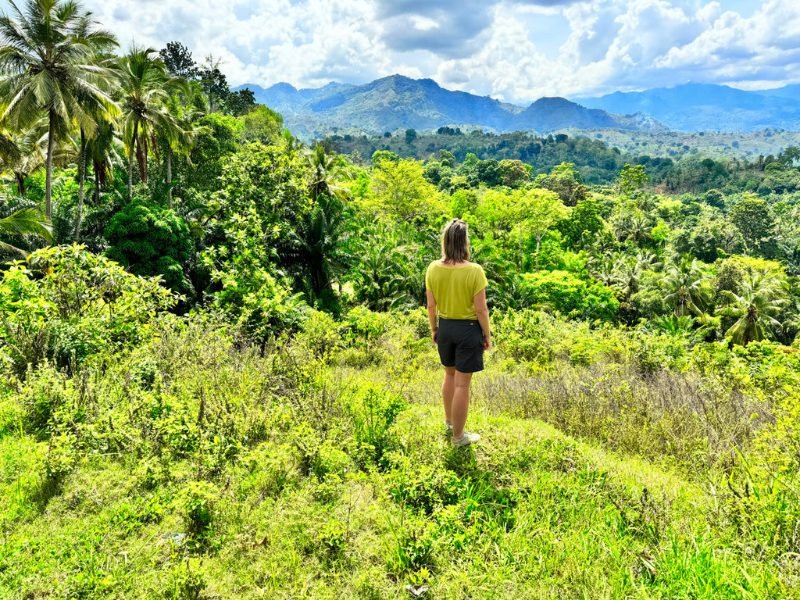 Zuid Tanzania | Uluguru | Mikumi Nyerere