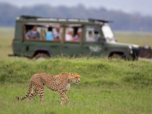 Tanzania