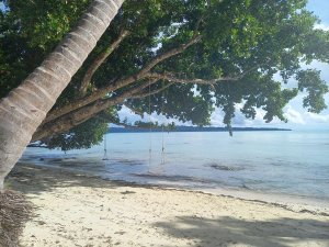 Beach on the Andaman Islands