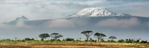 Mount Kilimanjaro landscape