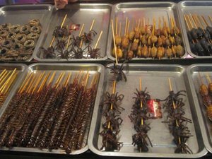 Food spiders