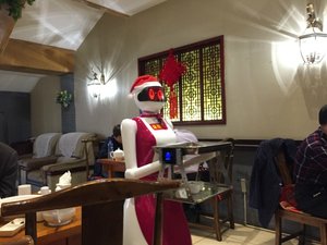 Robot waitress