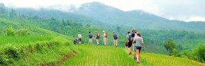 North Thailand walking group